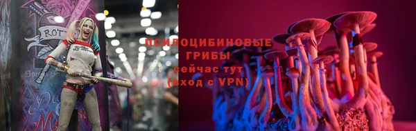 ГАЛЛЮЦИНОГЕННЫЕ ГРИБЫ Волоколамск