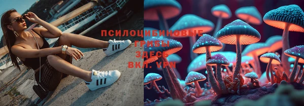 кокаин премиум Бородино