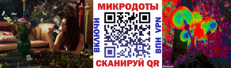 закладки  Дудинка  Галлюциногенные грибы прущие грибы 