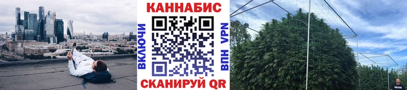 Бошки Шишки марихуана Дудинка